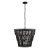Apollo 355P06CB 6-Light Pendant Light - Carbon Black
