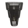 Apollo 355W02CB 2-Light Wall Sconce - Carbon Black